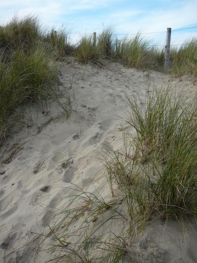 Strandslag Zanddijk 229 Julianadorp Aan Zee Dış mekan fotoğraf